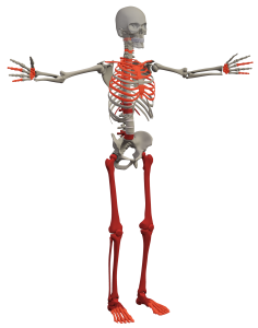 Details on Action Areas