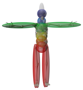 Chakras and Inside Space
