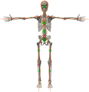Energy Flow in Movement