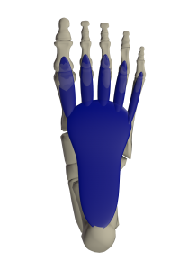 Rebounce to Create Energy