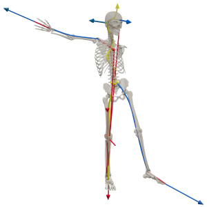 Activity Lines to Create Total Posture on One Leg
