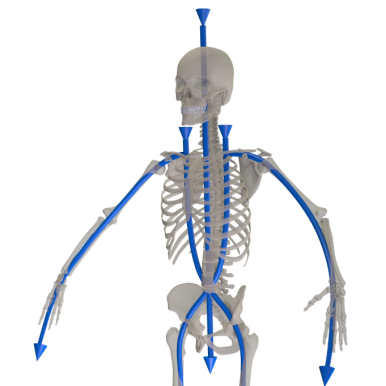 Vertical Energy Flows