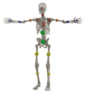 Release of Gravities